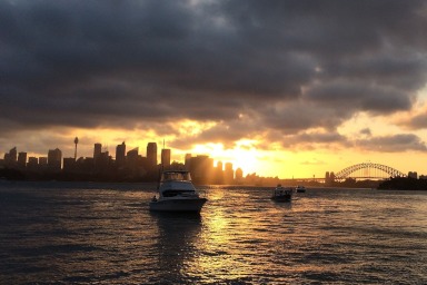Sydney harbour sunset