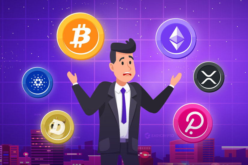 Which cryptocurrency should you invest in? 