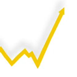 Investor Content Cluster