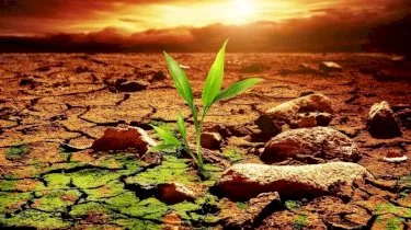 Rest commits to net-zero emissions following landmark case